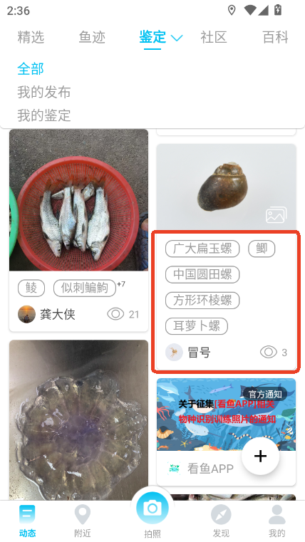 ~app2025֙C(j)汾