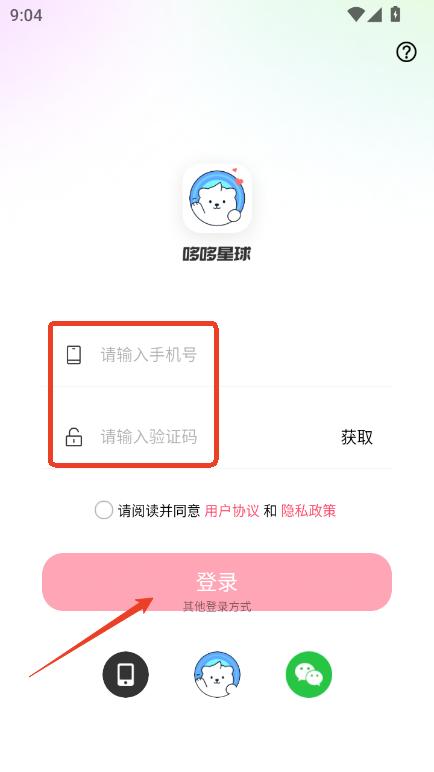 ߶app2025