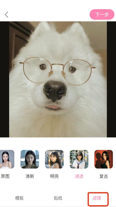 AIЧC(j)app׿