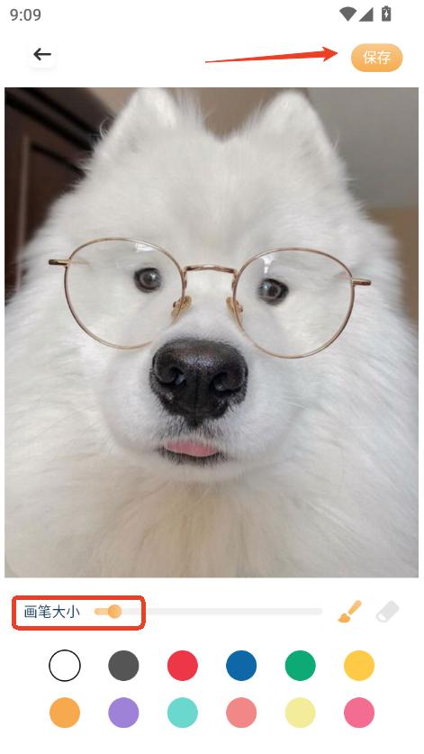 ʰҕlapp׿d