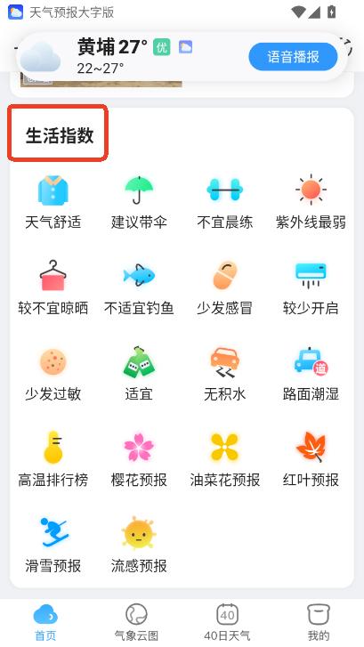 A(y)ְapp׿֙Cd