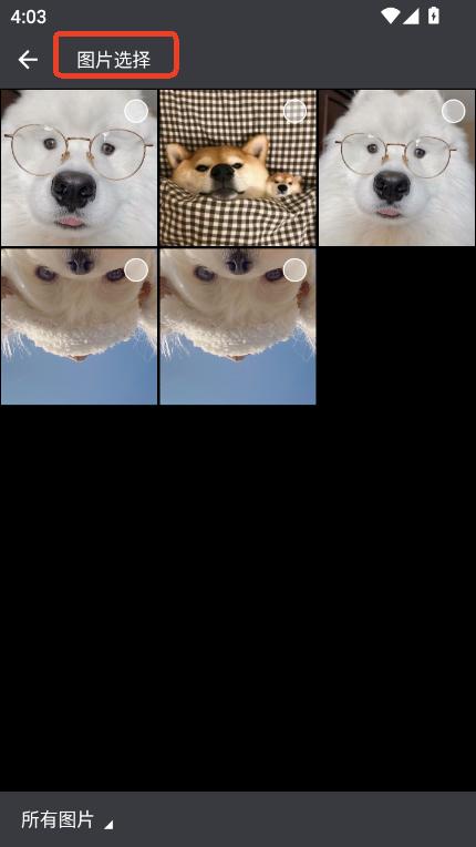ȡappٷ