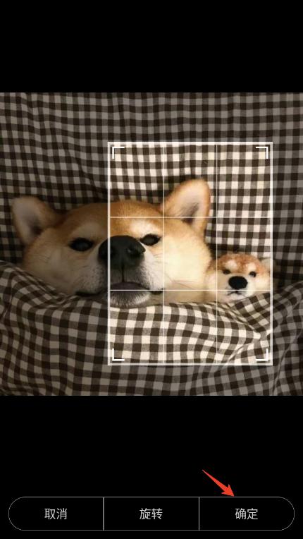 ȡappٷ