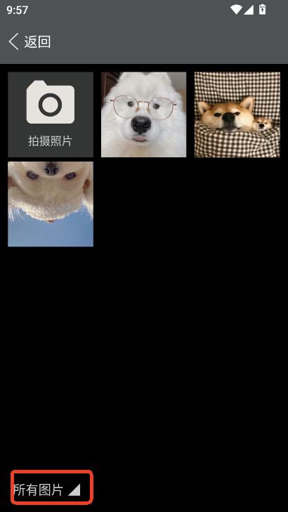 (jin)vAICapp׿