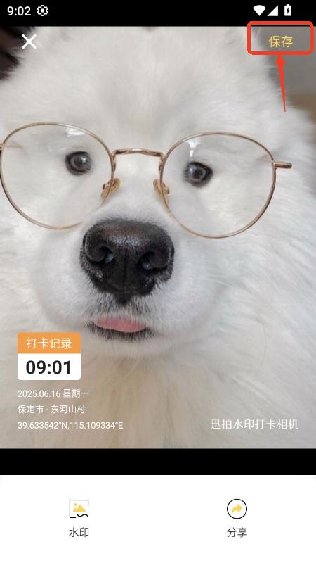 ѸˮӡCappٷ׿