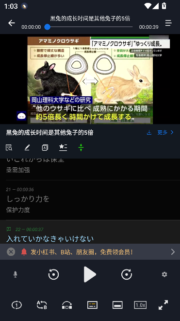Z(y)app׿d