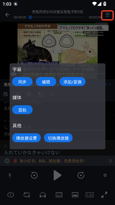Z(y)app׿d