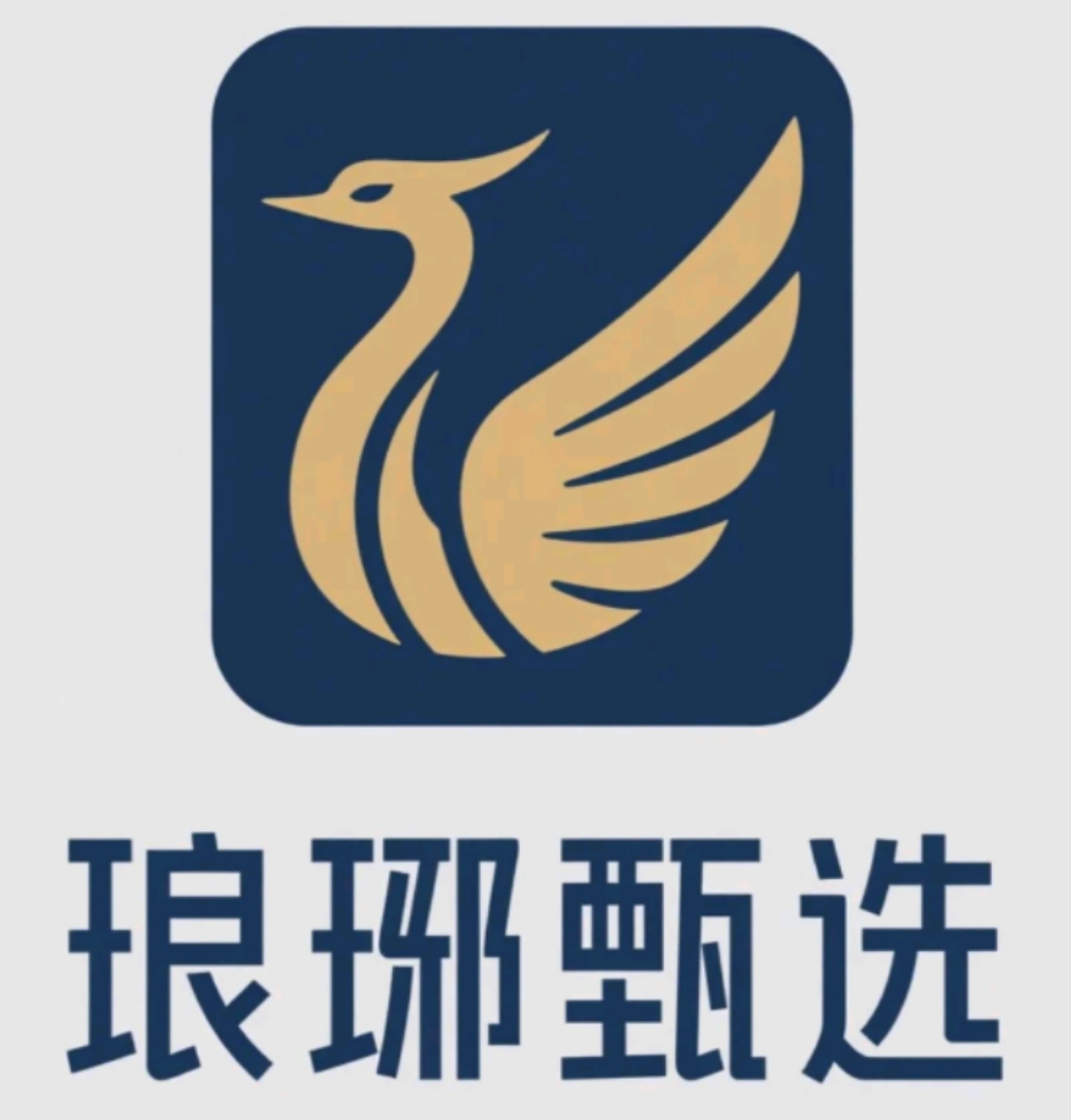 xapp2025ٷ͑v1.5.0°