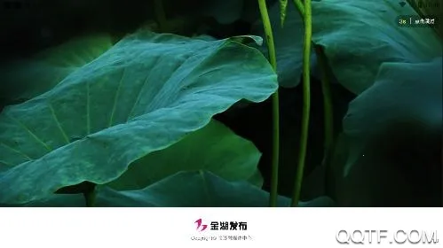 金湖发布 金湖发布