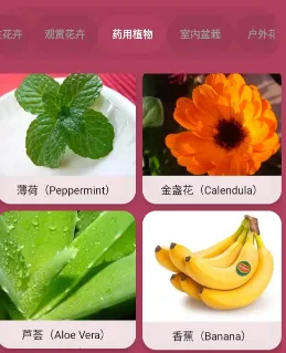 ������ʶ�����ֻ���