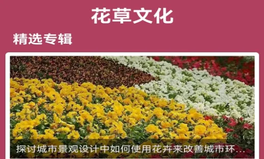 ������ʶ�����ֻ���