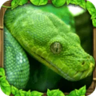 ����ģ����v1.5 ��Ѱ�