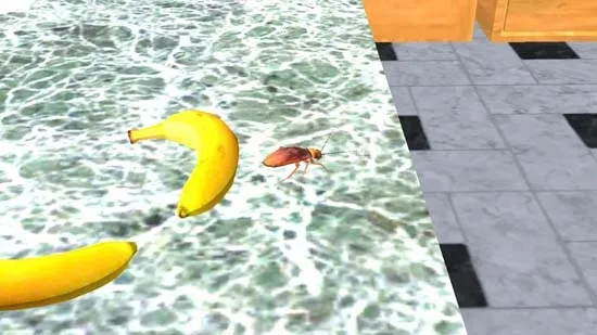 蟑螂模拟器2026官方正版 蟑螂模拟器2026官方正版