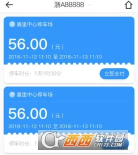 ����ͣ��