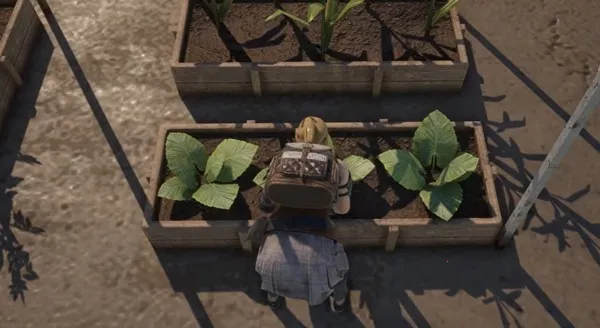 ��ҹ����