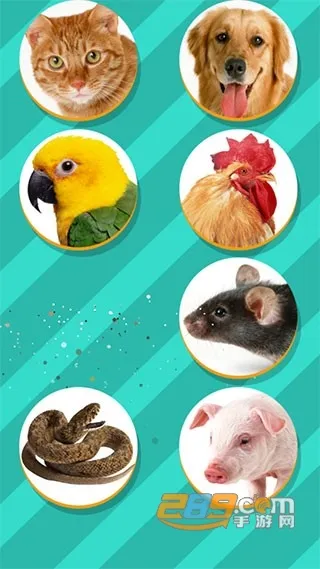 ���﷭����������ؽ�ͼ0