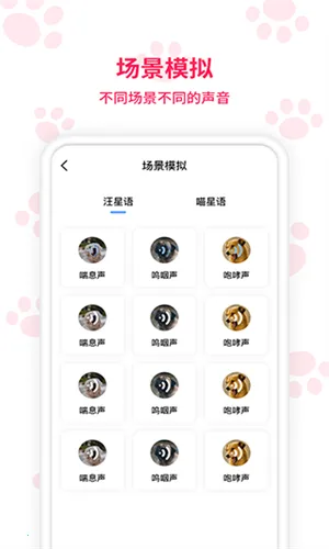 ���﷭����������ؽ�ͼ2