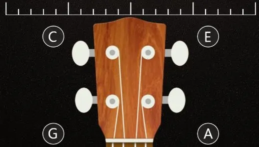 �����������ֻ���Ѱ�