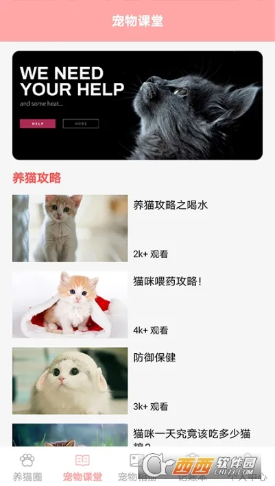 遇见我的猫下载 遇见我的猫下载