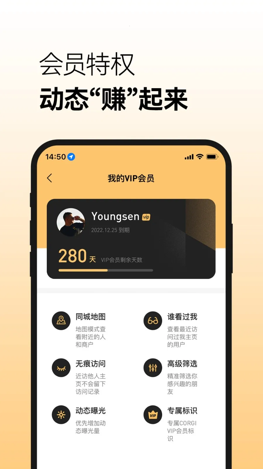 corgi�������ؽ�ͼ2