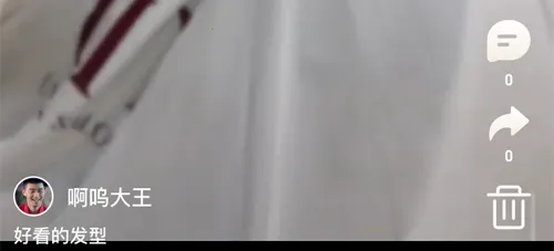 corgi��������