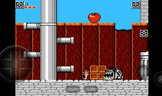 �������ս���ư�