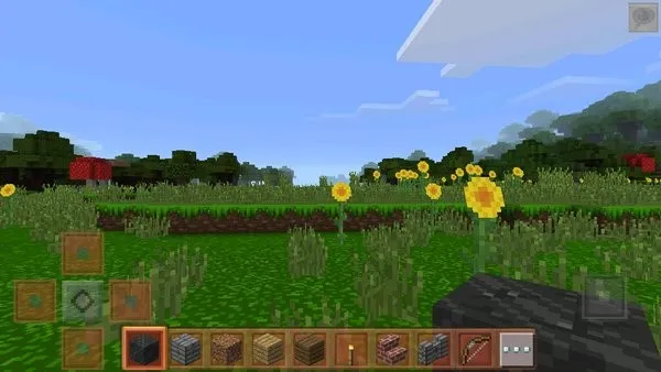 С������������ؽ�ͼ3