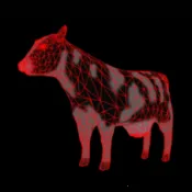 ���˻���������v1.0.0 �ٷ�����