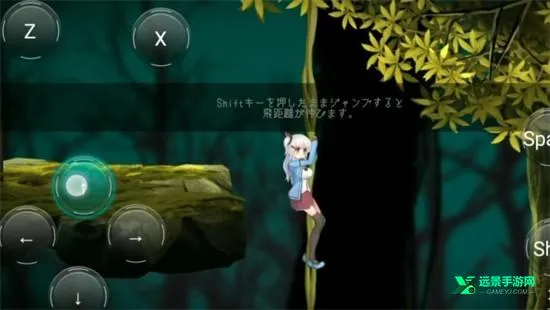 ������˹��Σ��ɭ��������ֲ��