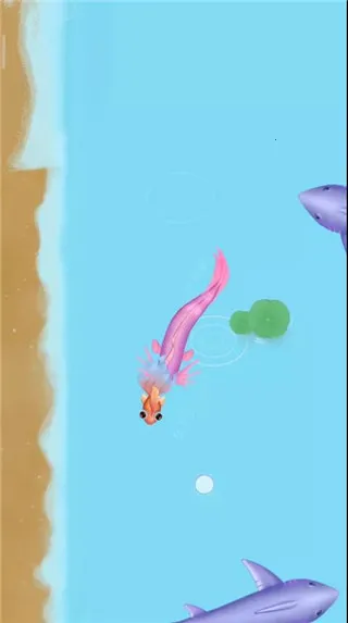 �ٻ�����������