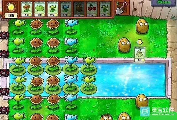 植物大战僵尸CL2026下载安装 植物大战僵尸CL2026下载安装