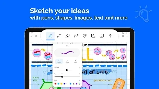 Notewise2026���°汾