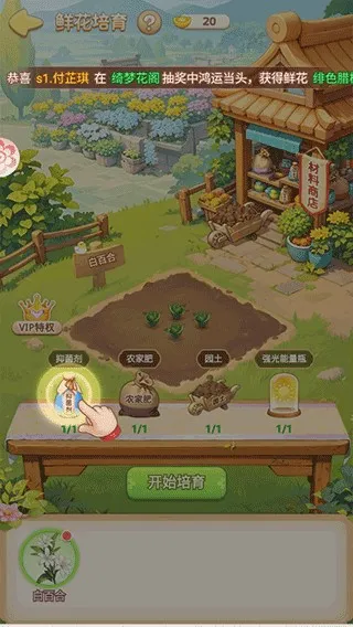 我的花园世界破解版 我的花园世界破解版