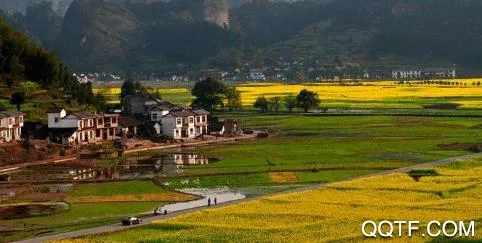 ������(�ط��ۺϷ���ƽ̨)