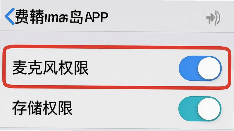费曼岛APP设置界面截图,高亮显示“麦克风权限”和“存储权限”开关,界面元素清晰,文字锐利,背景为浅灰色,无其他干扰图标,高清细节,布局整齐