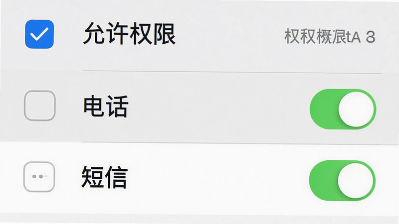 手机设置界面截图,显示权限管理页面,高亮显示“电话”和“短信”权限开关,背景为系统默认白色,布局简洁,风格官方标准,细节包含勾选框和权限名称,画质清晰,无多余弹窗,文字“允许权限”清晰
