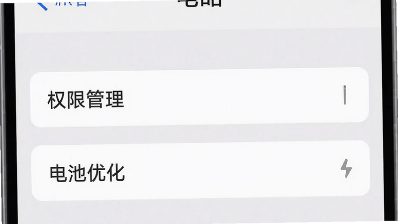 手机设置界面示意图,高亮显示“权限管理”与“电池优化”选项,背景为浅灰色,风格简洁,文字清晰,无多余装饰