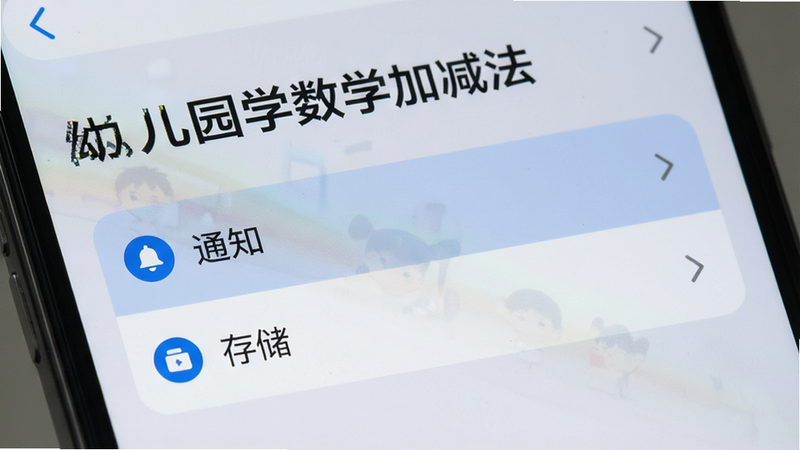 手机设置界面特写,显示“幼儿园学数学加减法”的权限管理页面,其中“通知”和“存储”选项被高亮选中,背景为浅灰色,文字清晰,布局简洁,无其他干扰元素,高清细节