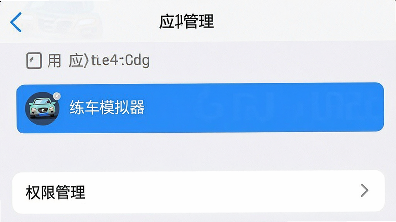 手机设置界面截图,显示“应用管理”列表,其中“练车模拟器”被高亮选中,下方显示“权限管理”选项,界面简洁,白色背景,蓝色高亮条,写实风格,清晰锐利