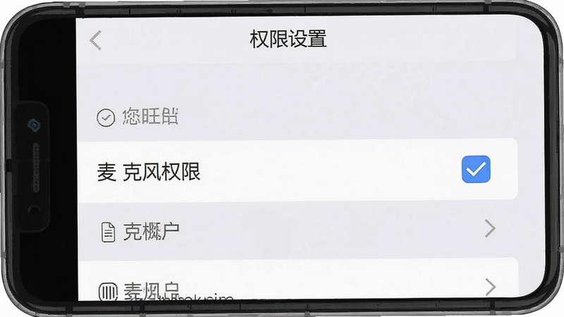 一张手机设置界面的示意图,显示权限管理页面,麦克风权限被勾选,背景为浅灰色,主体为设置列表,布局垂直,排版清晰,风格简洁实用,细节可见,画质清晰,干净,无多余元素,文字标注