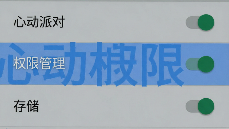 主体为手机设置界面,布局为列表式菜单,高亮显示“权限管理”与“存储”选项,背景为安卓系统默认灰色,风格简洁现代,细节显示权限开关状态,画质清晰,干净无杂乱图标,文字“心动派对”与“权限”清晰可见