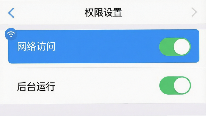 手机界面设置页面示意图,主体为权限管理列表,高亮显示“网络访问”和“后台运行”选项,布局列表式,排版清晰,风格扁平化设计,细节包含开关按钮状态,画质清晰,干净无杂乱图标,文字引用“权限设置”
