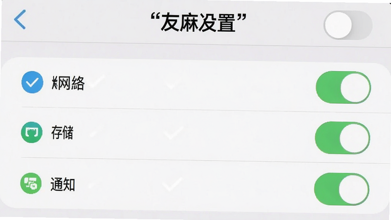 主体为手机设置界面示意图,展示“友麻友辣”APP的权限管理页面,列表中包含网络、存储、通知等选项,右侧有开关按钮,布局清晰,风格为系统原生UI,细节处有勾选标记,画质清晰,干净背景,文字“权限设置”加引号,无多余装饰。