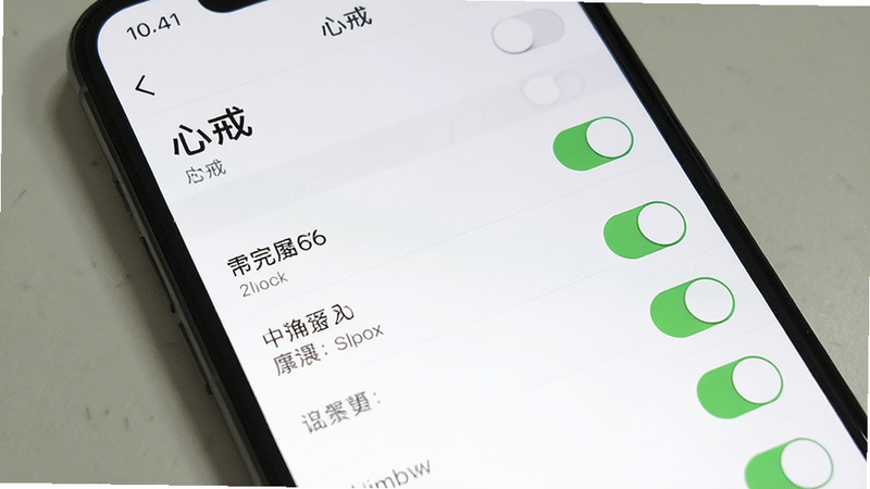 主体为手机设置界面,布局列表式,背景为白色,风格简洁,细节显示权限开关状态,画质清晰,干净,无多余元素,文字“心戒”设置页
