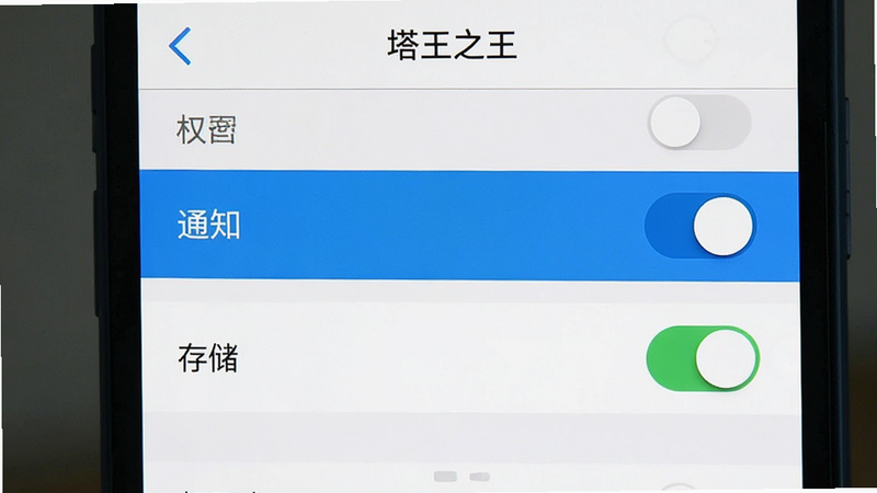 主体为手机设置界面截图,展示权限管理选项,布局为列表式,高亮显示“通知”和“存储”权限开关,背景为白色,排版清晰简洁,风格为扁平化UI设计,细节展示开关状态,画质清晰,干净无广告遮挡,文字“塔王之王”在顶部标题栏