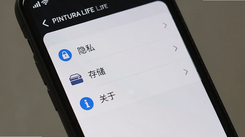 手机屏幕显示 Pintura Life 的设置界面,列表清晰,包含“隐私”、“存储”、“关于”等选项,背景简洁,图标清晰,界面整洁,无杂乱元素,高清截图风格。