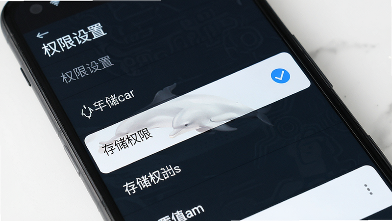 展示双海豚批发通在安卓手机上的设置界面,主体为权限管理列表,布局为垂直列表,风格为极简科技风,细节包含勾选的“存储权限”选项,文字显示