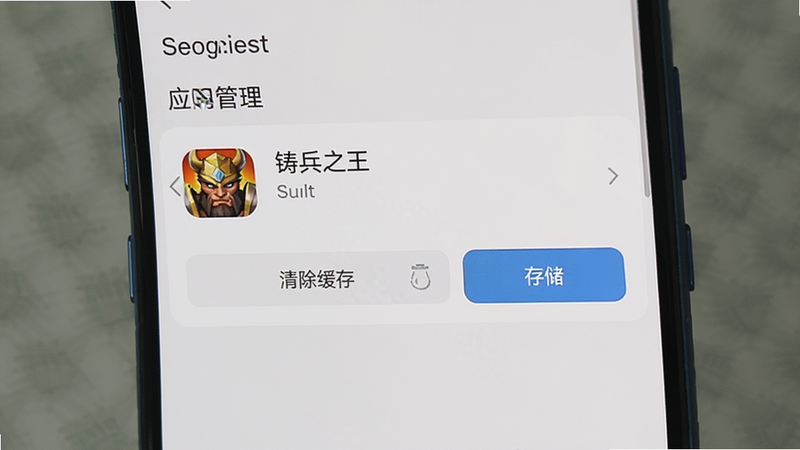 主体为手机设置界面截图,显示“应用管理”中的“铸兵之王”选项,布局垂直,排版清晰,风格为扁平化UI,细节包含“清除缓存”和“存储”按钮,画质清晰,干净,无多余元素