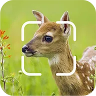 TrailCam Gov2.10.6 ��׿��