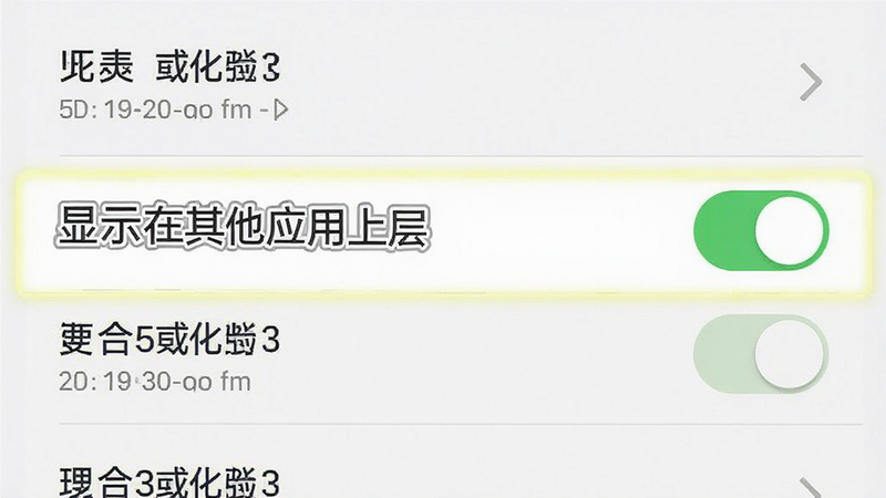 主体为手机设置界面截图风格,高亮显示“显示在其他应用上层”权限开关。布局为垂直列表,开关处于开启状态(绿色)。排版简洁,重点突出。风格为UI设计稿,扁平化。细节显示权限名称清晰。画质清晰,干净,无多余元素。